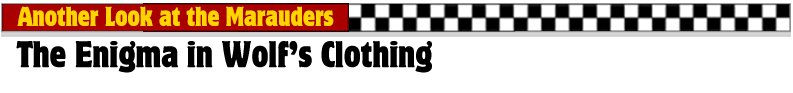 banner for potter people essay: the enigma in wolf’s clothing The Enigma in Wolf’s Clothing